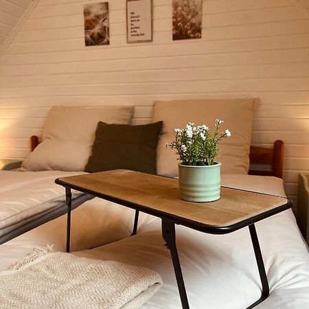 Frieda - Ferienwohnung Mit Deichblick Friedrichskoog Exteriér fotografie