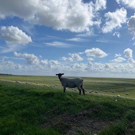 Frieda - Ferienwohnung Mit Deichblick Friedrichskoog Exteriér fotografie