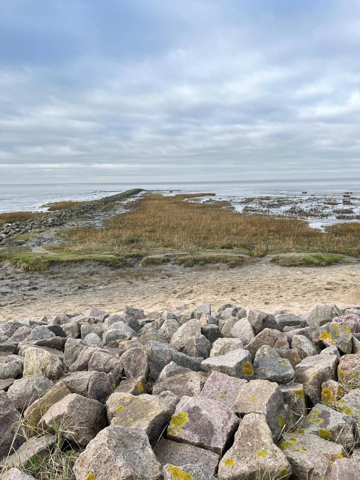 Frieda - Ferienwohnung Mit Deichblick Friedrichskoog Exteriér fotografie