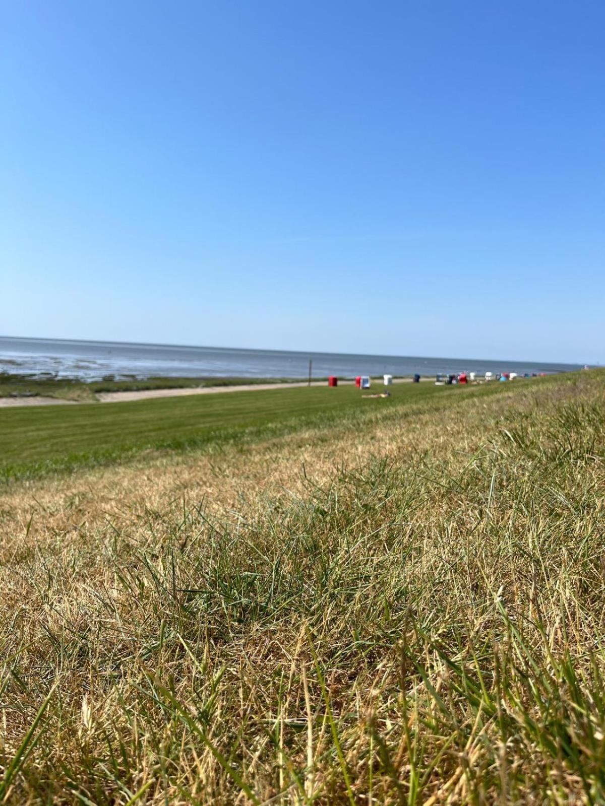 Frieda - Ferienwohnung Mit Deichblick Friedrichskoog Exteriér fotografie